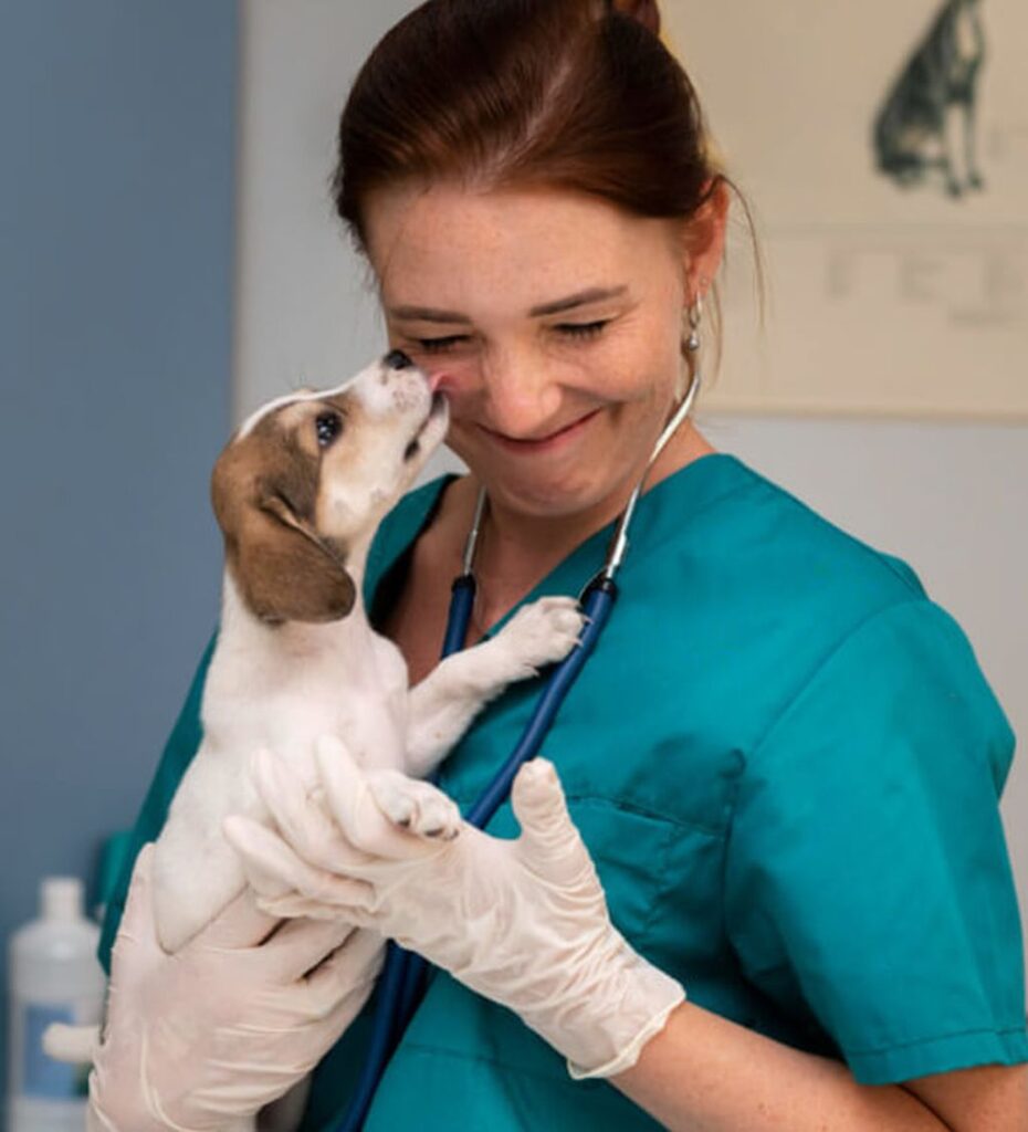 dr. Katona Ramóna a Vetty rendelő alapítója